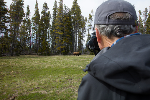 Looking over the shoulder of a male photographer taking a photo of a large Bison (buffalo). Man is alone with a large buffalo in open field. Man is wearing a hooded rain jacket and a baseball cap.