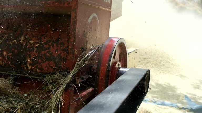 Historic threshing machine working