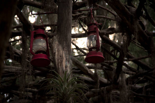 Romantic red oil lamp hanging in a wild forest cabin tree