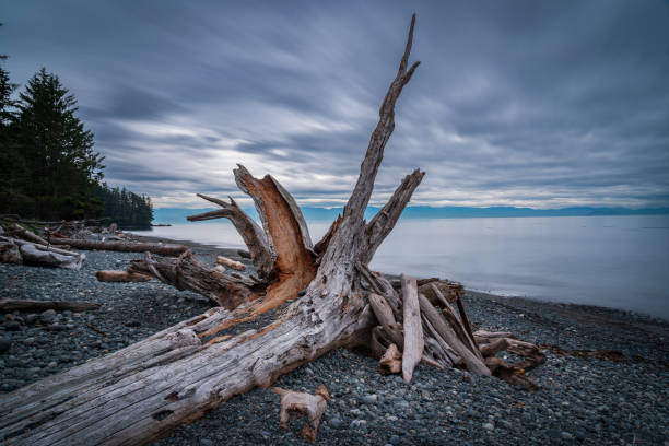 istock French Beach Vancouver Island 1345043681