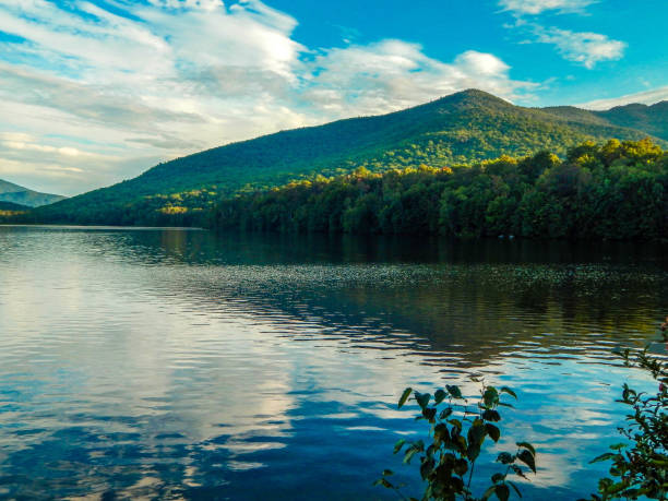 istock Lagoon with trees and mountains illuminated by the sun in the background 1345043731