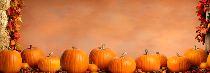 A long row of pumpkins in front of a brown background.  The pumpkins are framed by a stack of hay bales and a fence post adorned with an autumn garland.