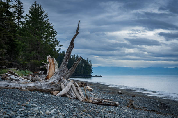 French Beach Vancouver Island