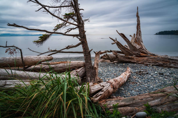 istock French Beach Vancouver Island 1345046075