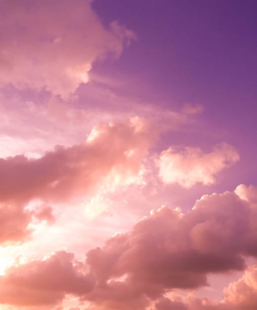 istock Purple sunset sky with pink fluffy clouds 1345051491