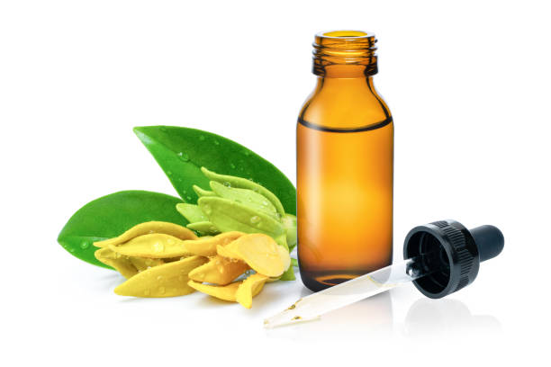 Ylang ylang essential oil with  yellow flower