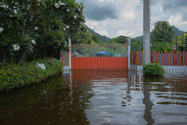 istock Thailand, Flood, Climate Change, Water, Accidents and Disasters 1345057055