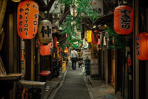 alley of memoriesin shinjuku tokyo