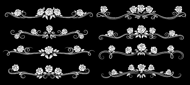 White rose flower vintage borders, dividers and floral swirls, vector pattern frames. Floral line ornaments, flourish ornate borders and embellishment dividers for wedding or menu card