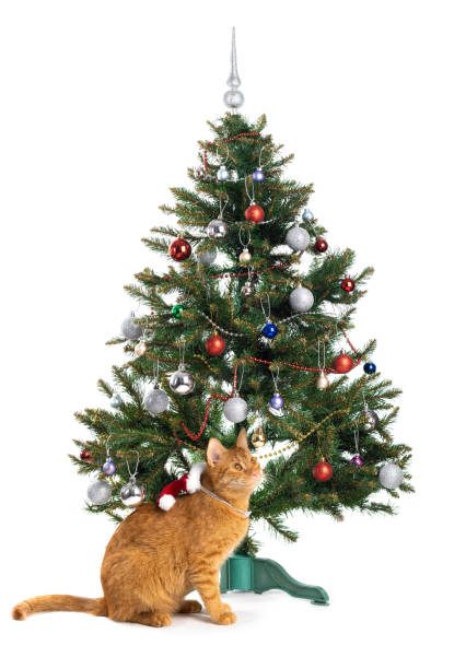 istock Cat next to christmas tree isolated on a white background 1345066376