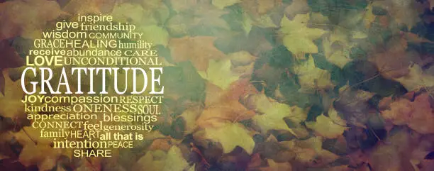 an autumnal multicoloured wide rustic grunge leaf background with GRATITUDE word cloud on left and copy space on right