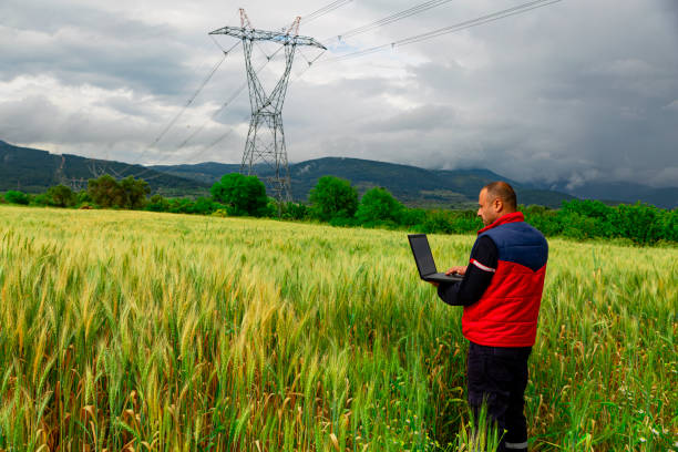 istock Young modern farmer use laptop in the wheat field 1345071068