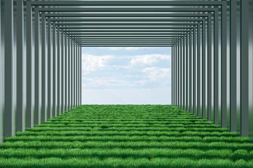 3D rendering of Abstract Tunnel Corridor on Grass Ground.