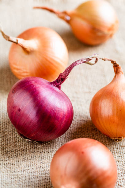 istock red and golden onions 1345073962