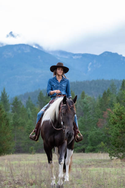 Woman riding her horse at a ranch Portrait of a modern cowgirl. Female rancher riding a horse. Women working in agriculture. pemberton bc stock pictures, royalty-free photos & images