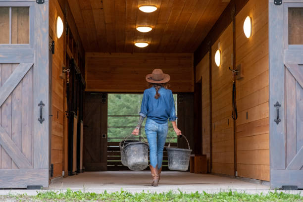 istock Female rancher working on her horse ranch 1345074182