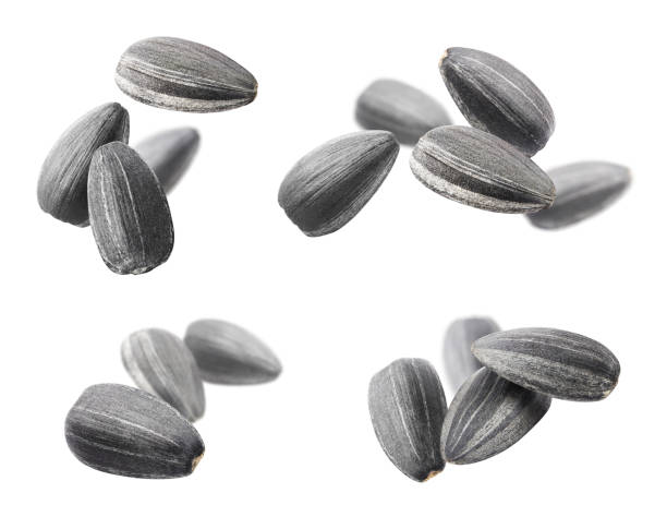 istock Collection of flying black sunflower seeds on white 1345078302
