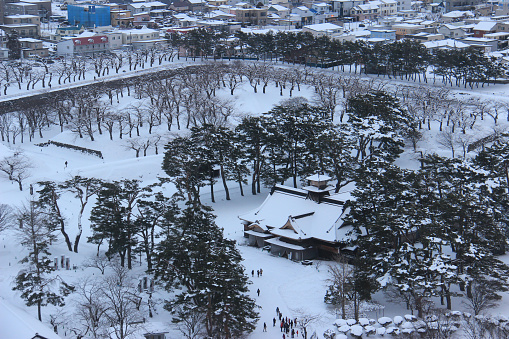 Goryokaku Park in winter