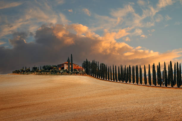 토스카나, 이탈리아의 아름다운 풍경. 발 도르시아 지역의 사이프러스 나무가 있는 시골 시골 농장 - val dorcia 뉴스 사진 이미지