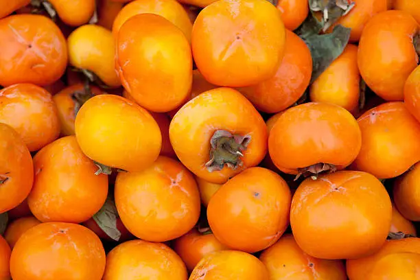 ripe persimmons with full frame.