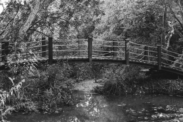 Free Stock Photo of River and Bridge in Black and White | Download Free ...