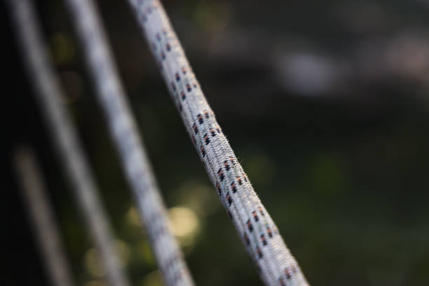 Rope noose with authentically tied slipknot.