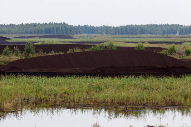 istock the flooded area where peat is extracted 1345087736