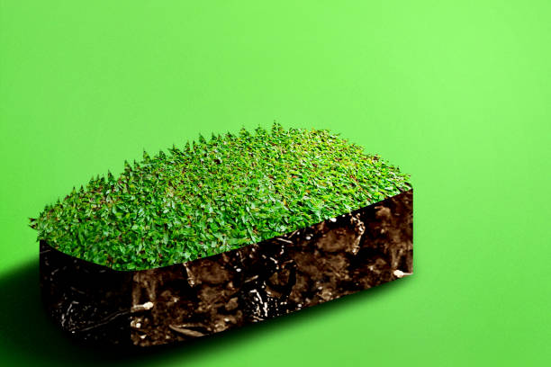 istock Underground soil layer of cross-section earth with meadow on the top 1345088009