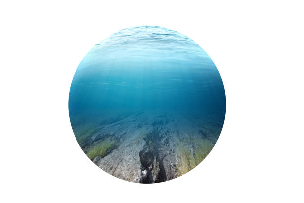 istock Underwater view of blue water on the ocean 1345088142