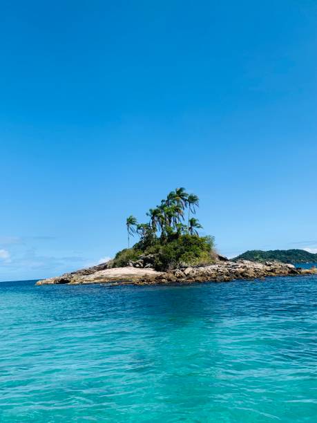 Tiny Island at Angra dos Reis, Brazil Tiny Island at Angra dos Reis, Brazil Dominic stock pictures, royalty-free photos & images