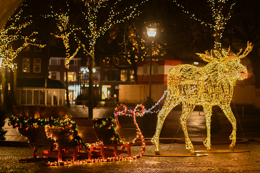 Christmas light moose decorations in front of city hall in Zwolle with snow during a cold winter night