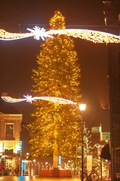 istock Christmas tree with old Dutch building facades at night 1345094440