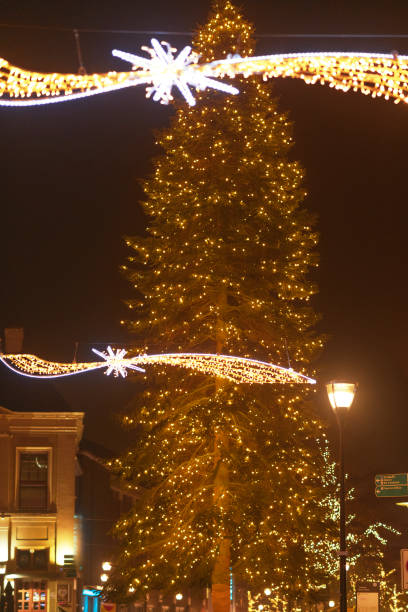 istock Christmas tree with old Dutch building facades at night 1345094479