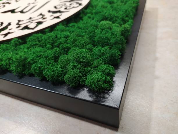 istock The painting is made of decorative stabilized moss and in a black frame with a pattern 1345094522