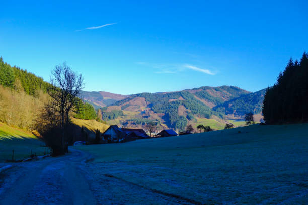istock Morning Mood Black Forest Germany 1345094766