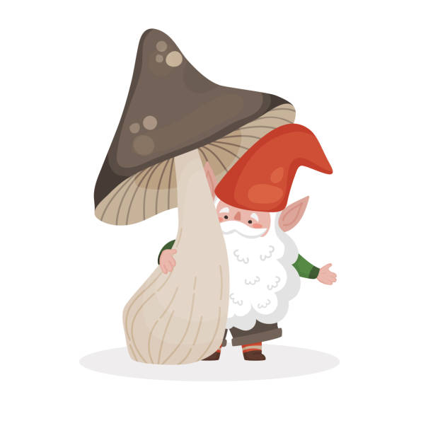 illustrations, cliparts, dessins animés et icônes de illustration vectorielle isolée d’un petit gnome barbu sous un gros champignon brun. fabuleuse image de dessin animé pour les enfants dans un style plat et simple. - gnome troll wizard dwarf