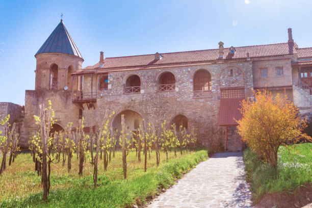 istock Alaverdi monastery vineyard in Kakhetia, Georgia 1345098724
