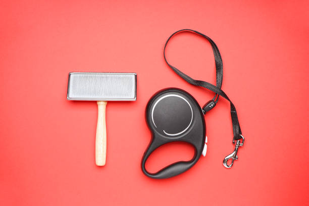 istock Grooming brush and dog leash on a red background. Flat lay. 1345099788