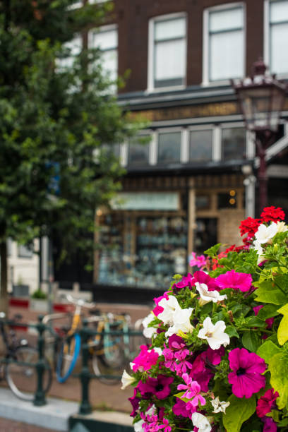 istock flowers in the Amsterdam  streets 1345101235