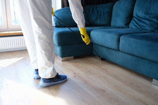 une personne en combinaison de protection et en gants traite la chambre contre les bactéries douloureuses. désinfection des locaux - worker termite photos et images de collection