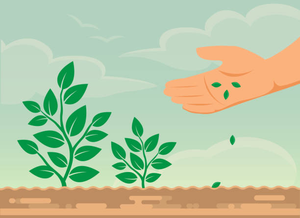 hand Sowing of seeds, Ecology. Vector illustration vector art illustration