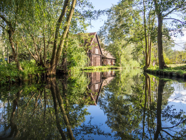 Nature reserve in the Spreewald in Germany Nature reserve in the Spreewald in Germany spreewald stock pictures, royalty-free photos & images