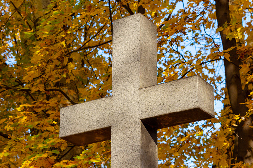 Granite stone cross in an old abandoned cemetery on a sunny autumn day with golden foliage