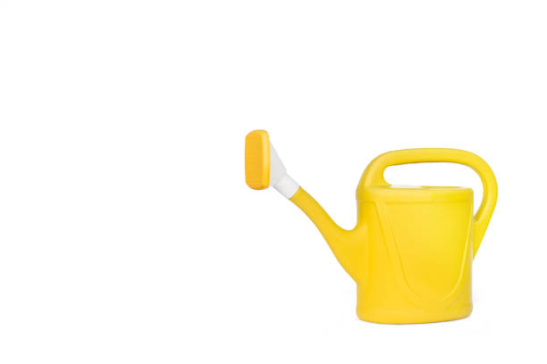 istock A yellow watering can on a white background 1345105229