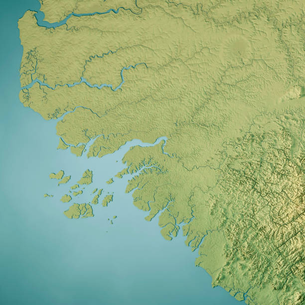 istock Guinea-Bissau 3D Render Topographic Map Color 1345107131