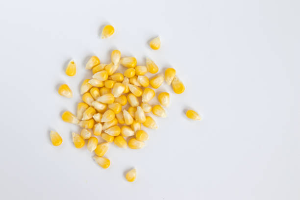 семена кукурузы, изолированные на белом фоне, вид сверху - corn kernel стоковые фото и изображения