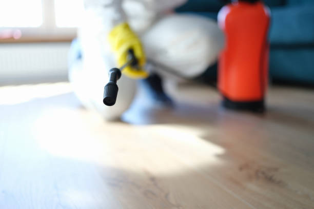 Man in protective suit treating floor in apartment with disinfectant closeup Man in protective suit treating floor in apartment with disinfectant closeup. Sanitizing apartments in covid19 pandemic concept pest stock pictures, royalty-free photos & images