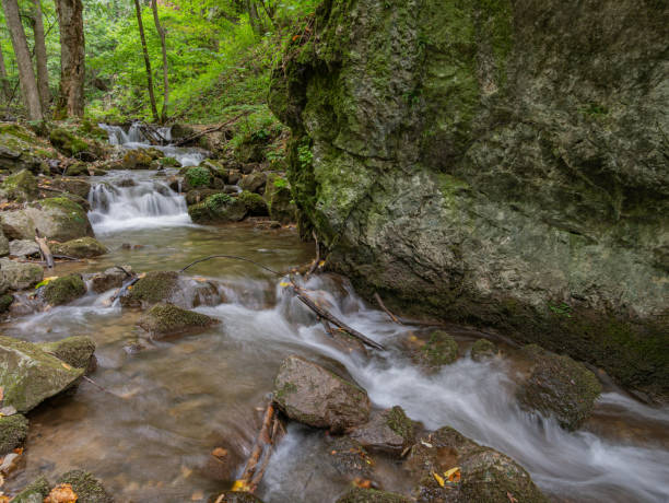 istock A beautiful torrent with small cascades 1345109125