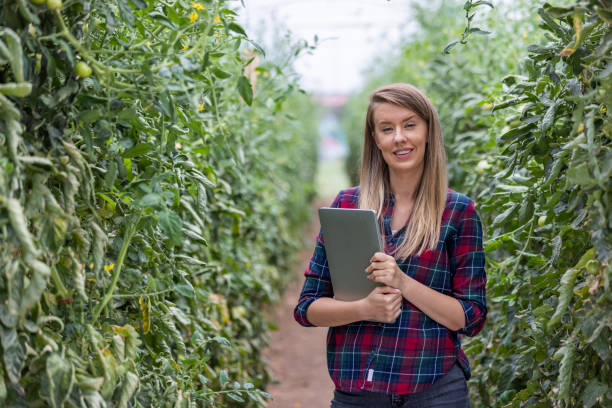 istock Modern Plant protection and agribusiness concept. 1345114072