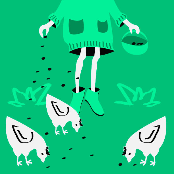 istock girl scatters grains and feeds chickens that peck food from the ground 1345114597